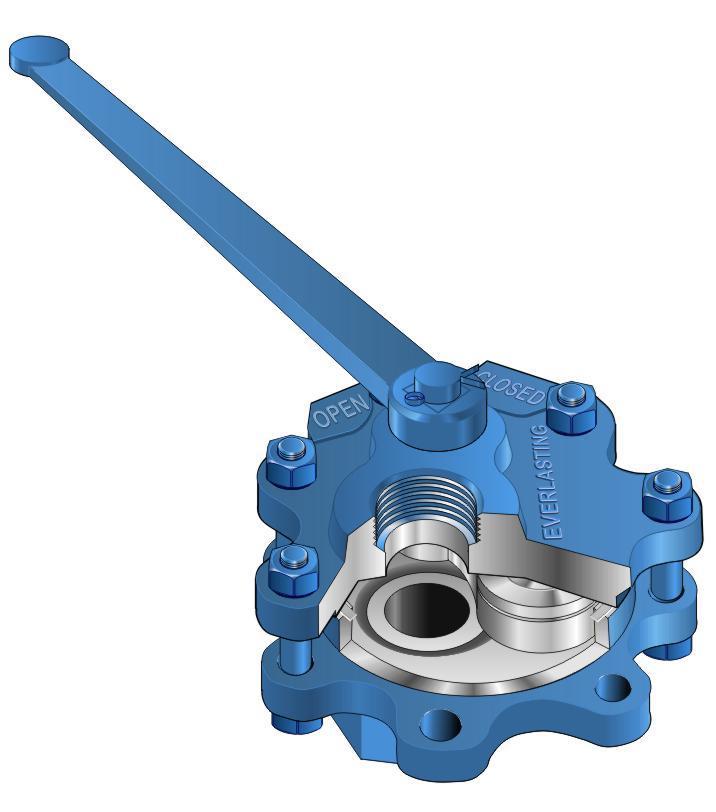 blowdown valves