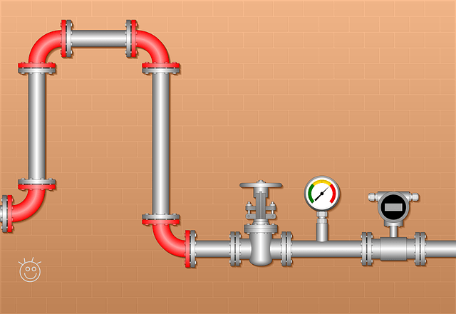 sanitary valves